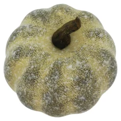 Decorative Pumpkins, 6ct. by Ashland®