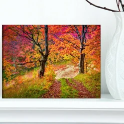 Designart - Bright Colorful Fall Trees in Forest - Large Landscape Canvas Art Print