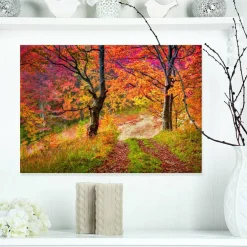 Designart - Bright Colorful Fall Trees in Forest - Large Landscape Canvas Art Print