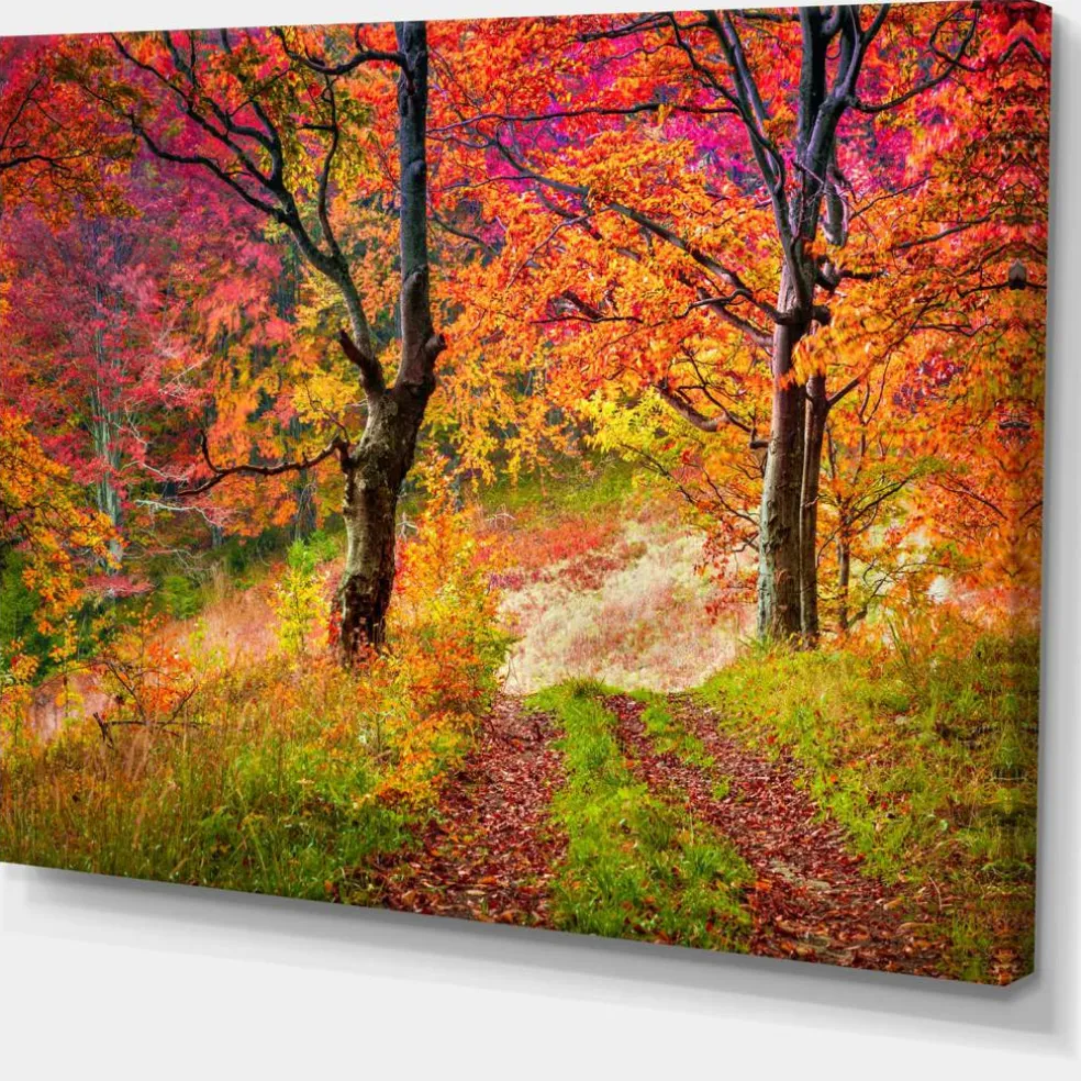 Designart - Bright Colorful Fall Trees in Forest - Large Landscape Canvas Art Print
