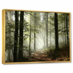 Designart - Light in Dense Fall Forest with Fog - Landscape Art Print Framed Canvas