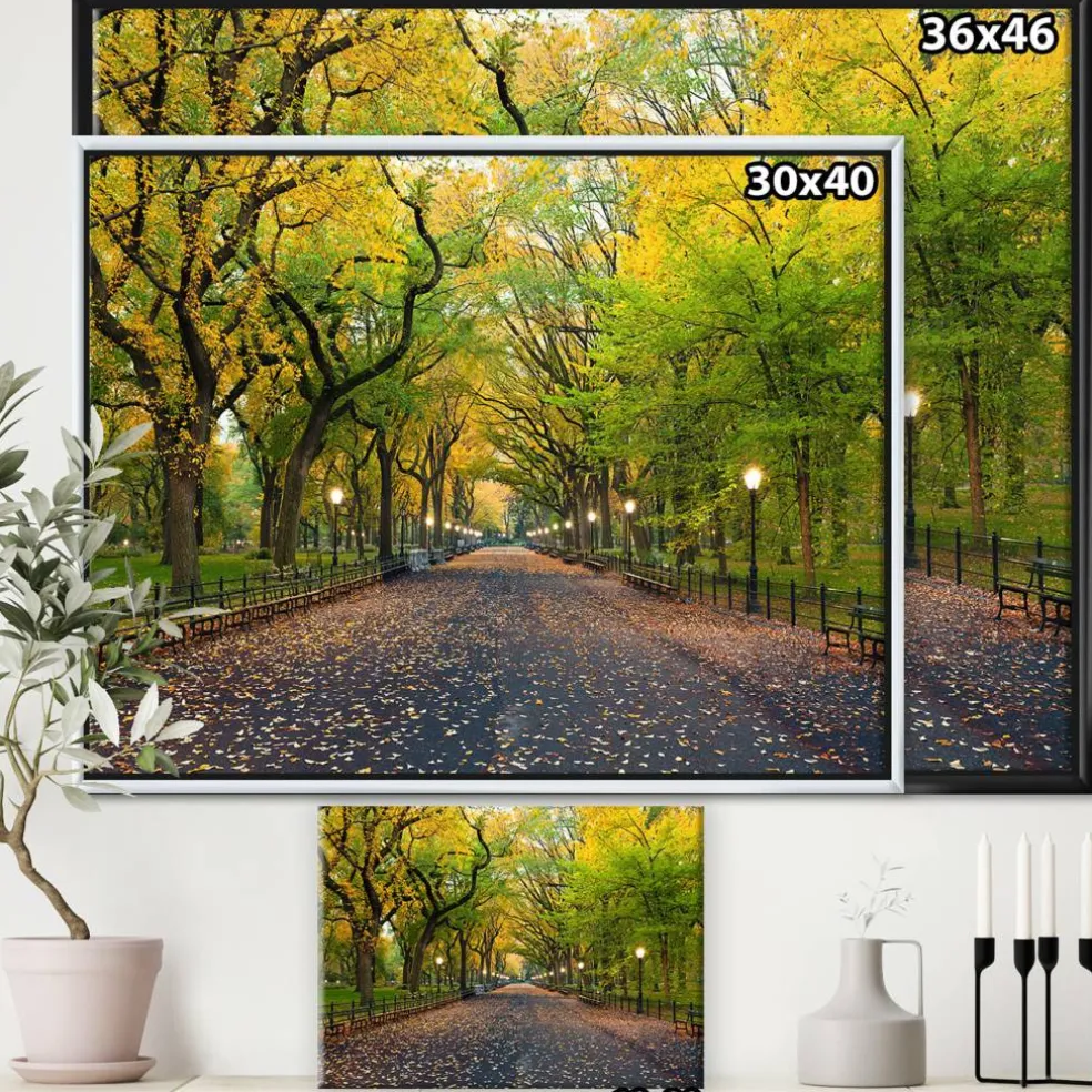 Designart - The Mall Area in Central Park - Large Landscape Framed Canvas Art
