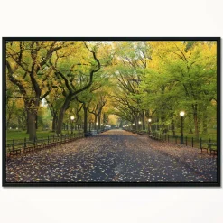 Designart - The Mall Area in Central Park - Large Landscape Framed Canvas Art