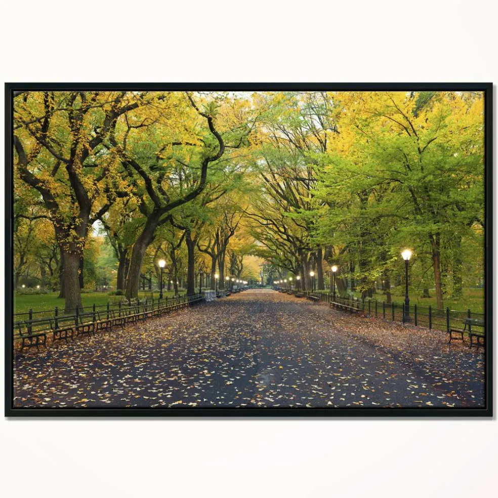 Designart - The Mall Area in Central Park - Large Landscape Framed Canvas Art