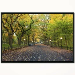 Designart - The Mall Area in Central Park - Large Landscape Framed Canvas Art