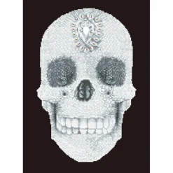 Diamond Dotz® Crystal Skull Diamond Painting Kit