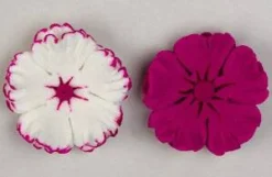 Dianthus Flower Icing Cake Decorations – Sugar Flower Toppers 3 Count