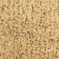 DII® Cactus Doormat