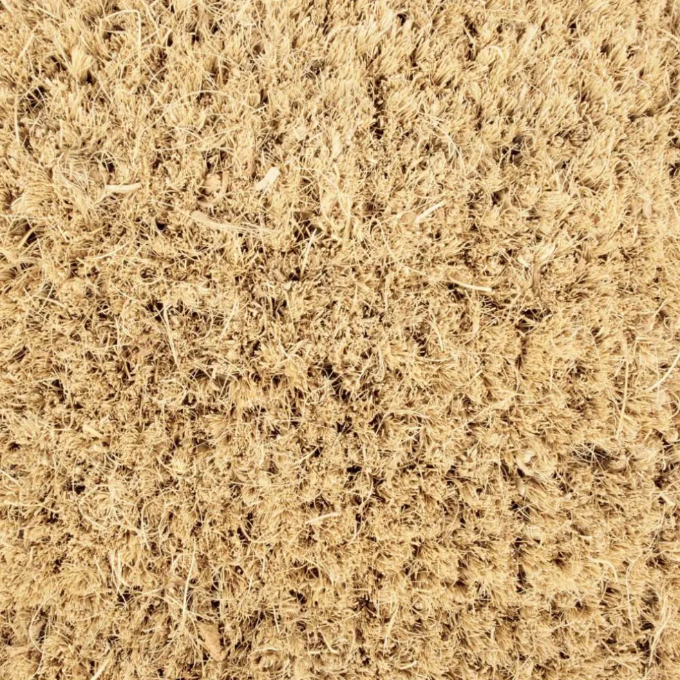 DII® Cactus Doormat