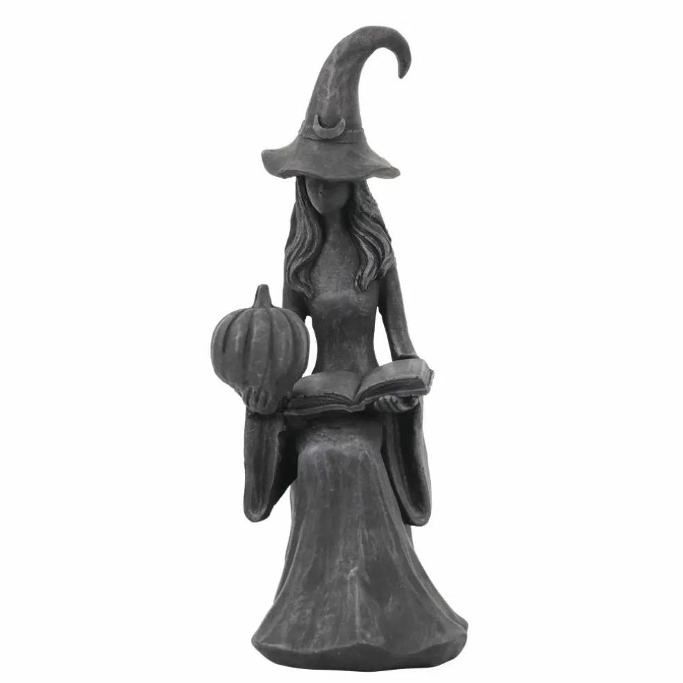 10.5" Distressed Black Witch with Book & Pumpkin Tabletop Décor by Ashland®