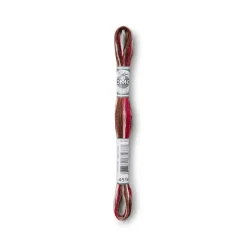 DMC® Coloris Embroidery Thread