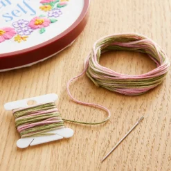 DMC® Coloris Embroidery Thread