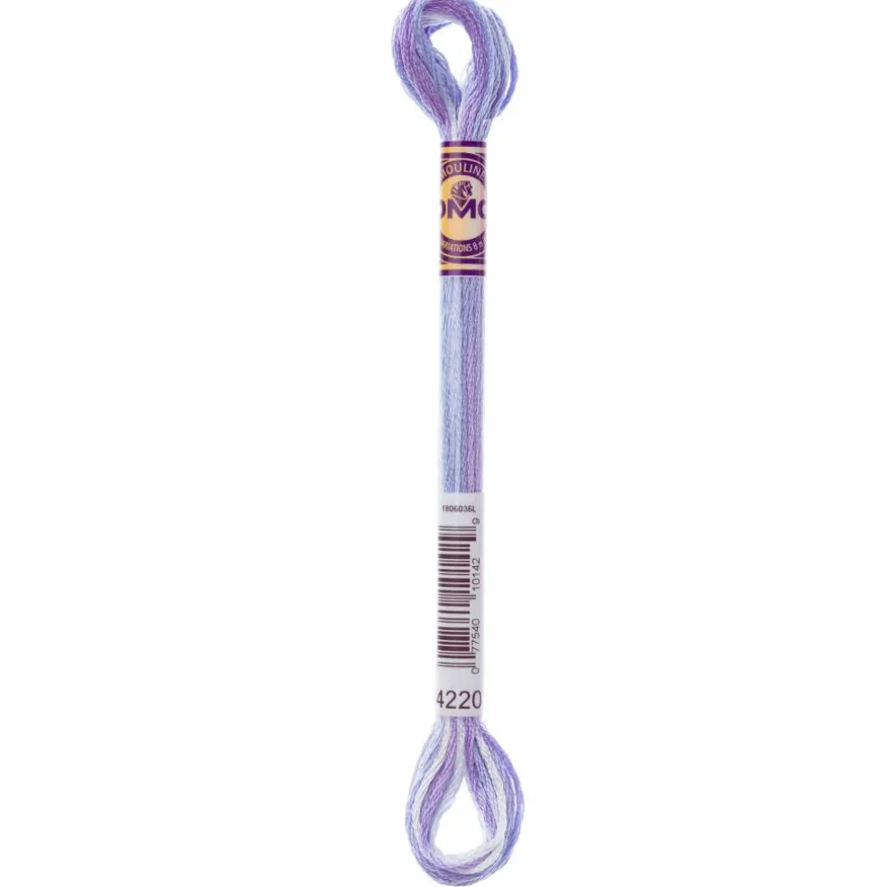 DMC® Color Variations Floss