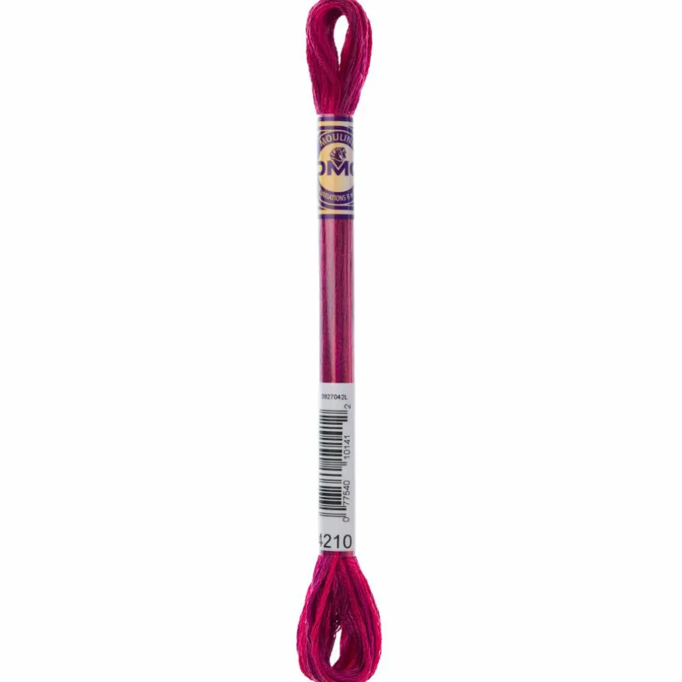 DMC® Color Variations Floss