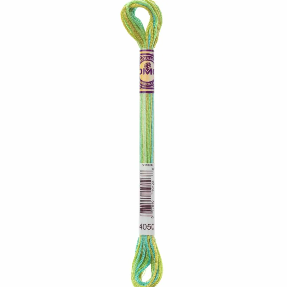 DMC® Color Variations Floss