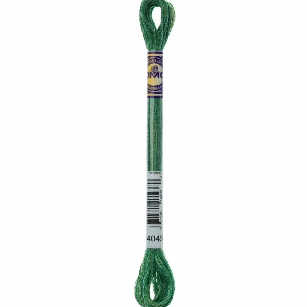 DMC® Color Variations Floss
