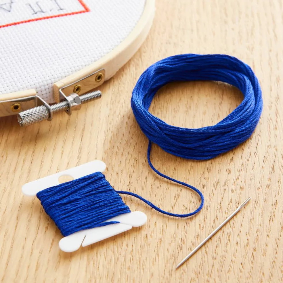 DMC® 6 Strand Embroidery Floss, Blue
