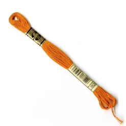 DMC® 6 Strand Embroidery Floss, Brown