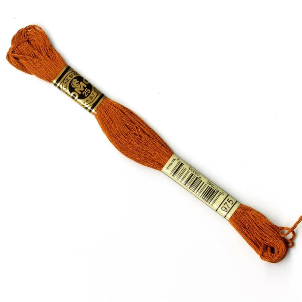 DMC® 6 Strand Embroidery Floss, Brown