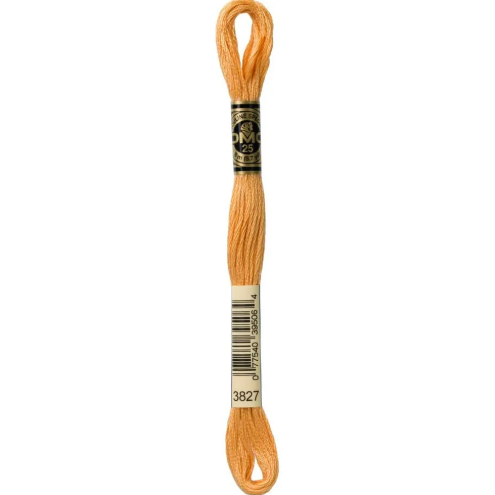 DMC® 6 Strand Embroidery Floss, Brown