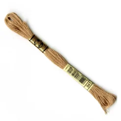 DMC® 6 Strand Embroidery Floss, Brown