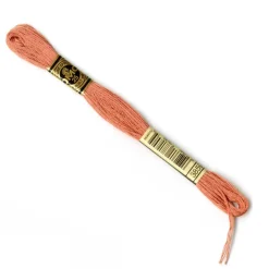 DMC® 6 Strand Embroidery Floss, Brown