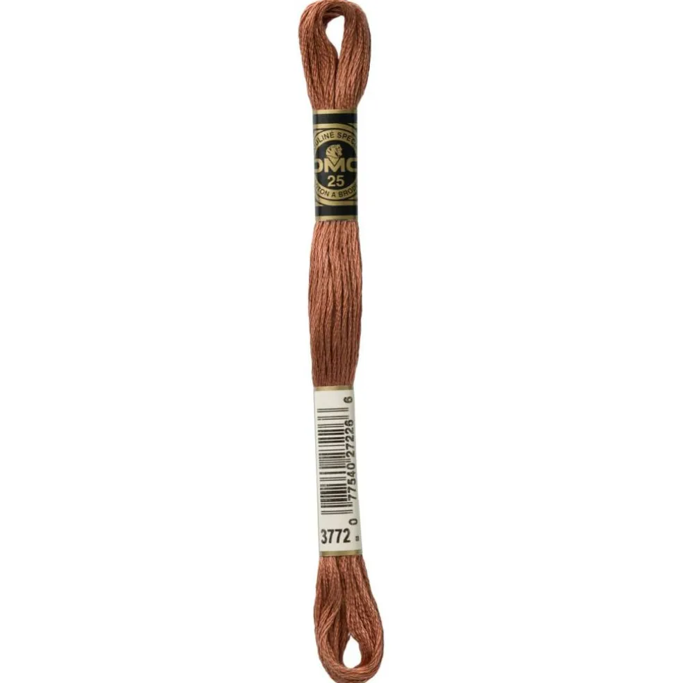 DMC® 6 Strand Embroidery Floss, Brown