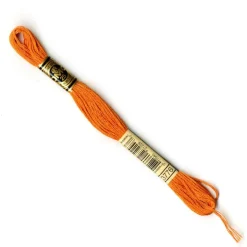 DMC® 6 Strand Embroidery Floss, Brown