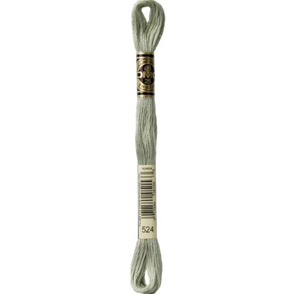 DMC® 6 Strand Embroidery Floss, Muted Green