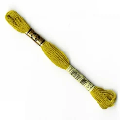 DMC® 6 Strand Embroidery Floss, Muted Green