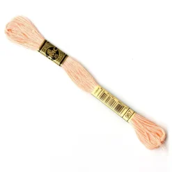 DMC® 6 Strand Embroidery Floss, Pink