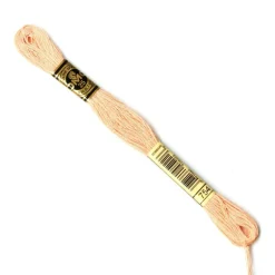 DMC® 6 Strand Embroidery Floss, Pink