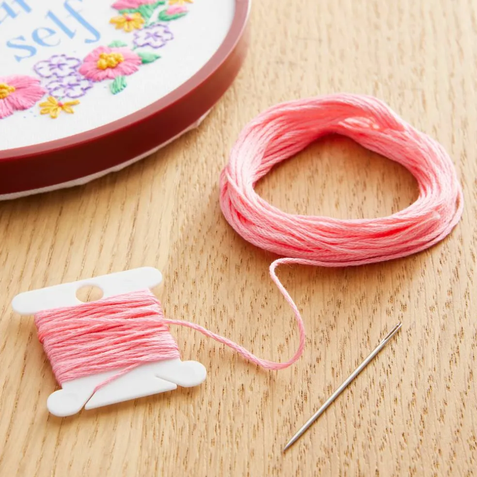 DMC® 6 Strand Embroidery Floss, Pink