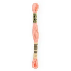 DMC® 6 Strand Embroidery Floss, Pink