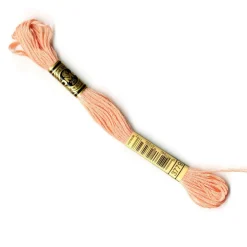 DMC® 6 Strand Embroidery Floss, Pink