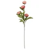 27.5" Dried Coral Peony Stem by Ashland®