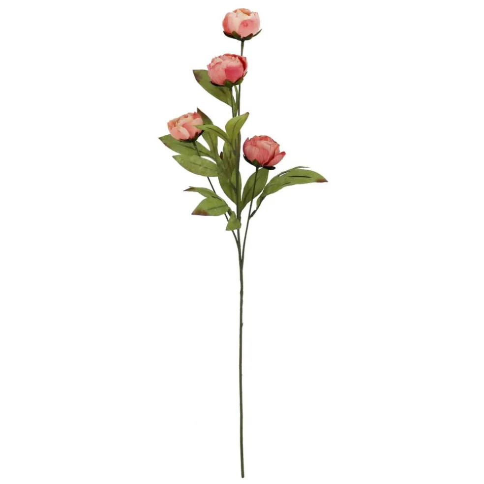 27.5" Dried Coral Peony Stem by Ashland®
