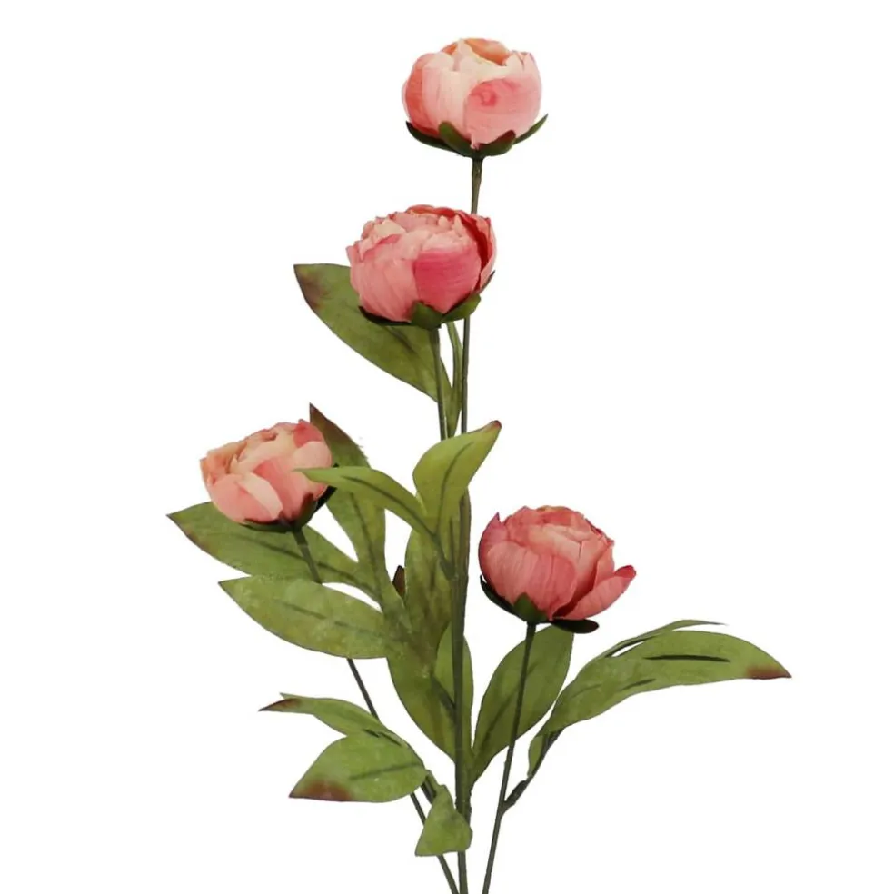 27.5" Dried Coral Peony Stem by Ashland®
