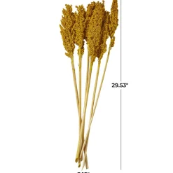 Dried Corn Maize Natural Foliage with Long Stems