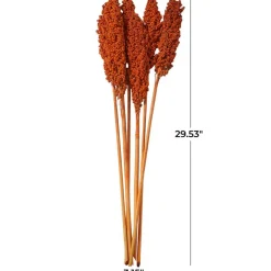 Dried Corn Maize Natural Foliage with Long Stems