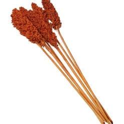 Dried Corn Maize Natural Foliage with Long Stems