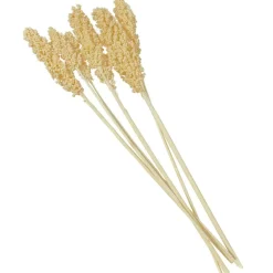 Dried Corn Maize Natural Foliage with Long Stems