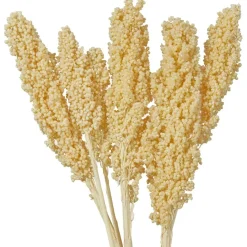 Dried Corn Maize Natural Foliage with Long Stems