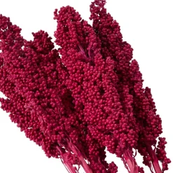 Dried Corn Maize Natural Foliage with Long Stems
