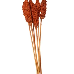 Dried Corn Maize Natural Foliage with Long Stems