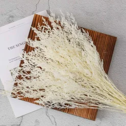 Dried Flowers Bouquet, Dry Caspia Flower Bundle, Floral Lavender, Babys Breath Flowers Arrangements for Wedding Decor, Door Wreath, Home Party Table Vase Decoration (White, 17'')