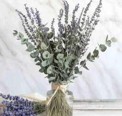 Dried Lavender Bouquets – 2 Bunches, 100% Natural Purple Flowers, 200–220 Stems (100g/3.5oz), 15–17 Inch, for Home Decor, Wedding, Bathroom, Crafts, and Photo Props