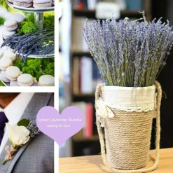 Dried Lavender Flowers Bundles 200 Stems Dry Lavender Bunch for Home Decor, Crafts, Wedding Bouquets