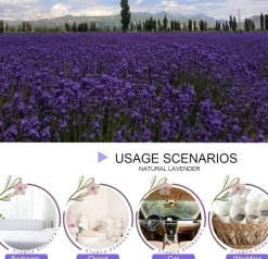 Dried Lavender Flowers, Dry Lavender Buds Bulk for Wedding Toss, Crafts, Sachets - 1/4 Pound