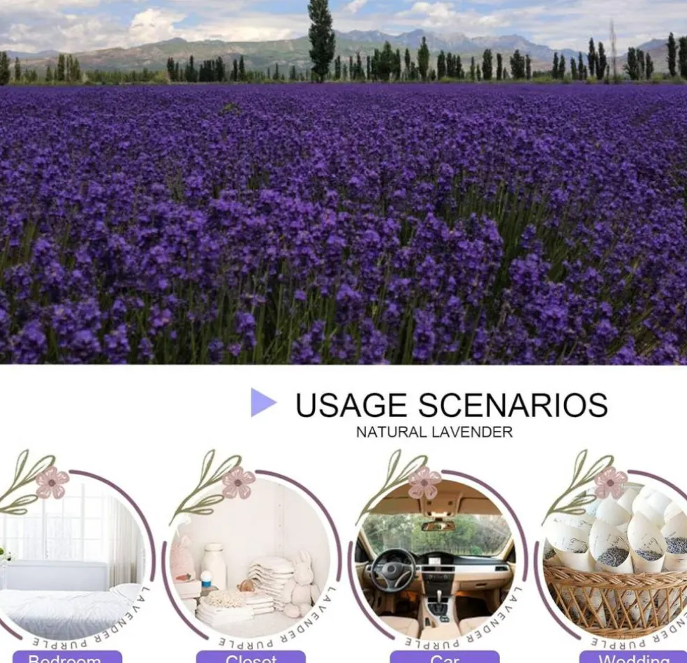 Dried Lavender Flowers, Dry Lavender Buds Bulk for Wedding Toss, Crafts, Sachets - 1/4 Pound